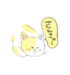 毎日ねこ100%（個別スタンプ：40）