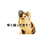 ツモリさんの日常（個別スタンプ：10）
