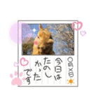 ちょびじぃ2（個別スタンプ：4）