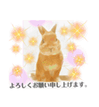 ちょびじぃ2（個別スタンプ：6）