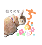 ちょびじぃ2（個別スタンプ：14）