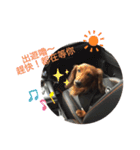 蘇Qちゃんの生活（個別スタンプ：7）