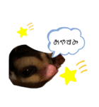 ももんがすたんぷ（個別スタンプ：2）