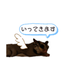 ももんがすたんぷ（個別スタンプ：3）