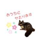 ももんがすたんぷ（個別スタンプ：7）