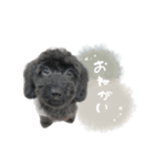 ♡エレくん（個別スタンプ：7）