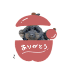 ♡エレくん（個別スタンプ：15）