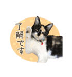 甲鍵ファミリー（個別スタンプ：2）