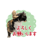 甲鍵ファミリー（個別スタンプ：3）
