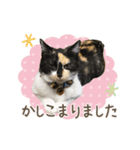 甲鍵ファミリー（個別スタンプ：4）