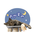 甲鍵ファミリー（個別スタンプ：6）