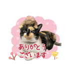 甲鍵ファミリー（個別スタンプ：8）