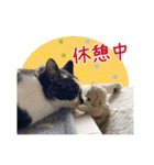 甲鍵ファミリー（個別スタンプ：9）