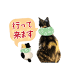 甲鍵ファミリー（個別スタンプ：13）