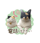 甲鍵ファミリー（個別スタンプ：18）