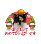甲鍵ファミリー（個別スタンプ：24）