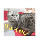 チマラムモチ（個別スタンプ：14）
