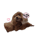 アロ♡モア（個別スタンプ：1）