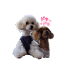 アロ♡モア（個別スタンプ：5）