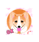 アニ丸シリーズ（個別スタンプ：1）