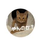 ふぉるなめスタンプ♪（個別スタンプ：2）