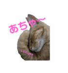 ふぉるなめスタンプ♪（個別スタンプ：4）