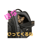 ふぉるなめスタンプ♪（個別スタンプ：17）