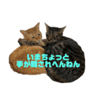 ふぉるなめスタンプ♪（個別スタンプ：21）