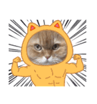 もふもふ猫と短足猫（個別スタンプ：8）