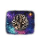 もふもふ猫と短足猫（個別スタンプ：22）