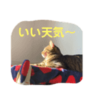 ぱんちゃんとたわちゃん（個別スタンプ：2）