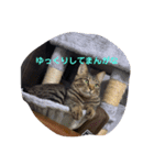 ぱんちゃんとたわちゃん（個別スタンプ：3）