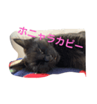 ぱんちゃんとたわちゃん（個別スタンプ：4）