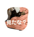 ぱんちゃんとたわちゃん（個別スタンプ：7）