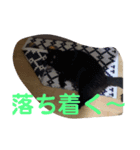 ぱんちゃんとたわちゃん（個別スタンプ：8）