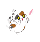 にゃんこ日和 1（個別スタンプ：6）