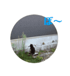 rikaponのニャン友（個別スタンプ：8）
