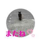 rikaponのニャン友（個別スタンプ：11）