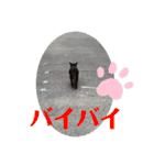 rikaponのニャン友（個別スタンプ：24）