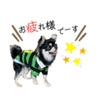 岡山弁犬(チワワ)（個別スタンプ：1）