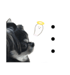 岡山弁犬(チワワ)（個別スタンプ：11）