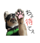 岡山弁犬(チワワ)（個別スタンプ：24）