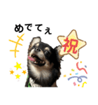 岡山弁犬(チワワ)（個別スタンプ：39）