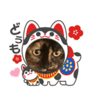 辻川家の花ちゃんキュート編（個別スタンプ：7）