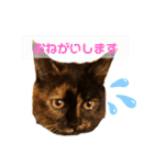 辻川家の花ちゃんキュート編（個別スタンプ：11）