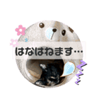 辻川家の花ちゃんキュート編（個別スタンプ：15）