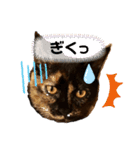 辻川家の花ちゃんキュート編（個別スタンプ：16）