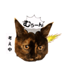 辻川家の花ちゃんキュート編（個別スタンプ：17）