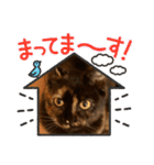 辻川家の花ちゃんキュート編（個別スタンプ：23）