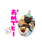 うちのれんちゃん♥（個別スタンプ：9）